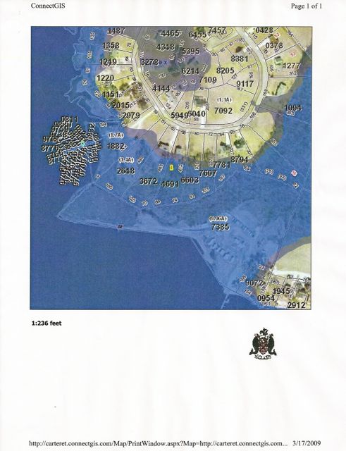 133 Deepwater Floodmap