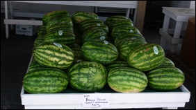 boguesoundwatermelons