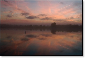 intracostalfog