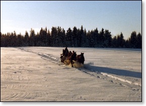 CanadianChristmas