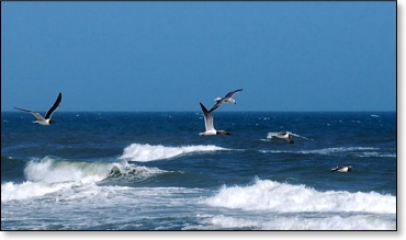 enjoyingyourbeachvisit