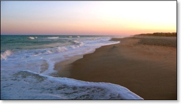 backtonormalatthebeach