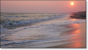 enjoyingthesouthandourbeaches