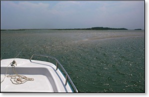 enjoyingyourselfonthewater