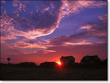 thesixshrimproadtoenlightment