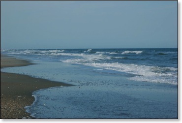 timetostickyourtoesinthewater