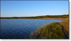 Bay along trail