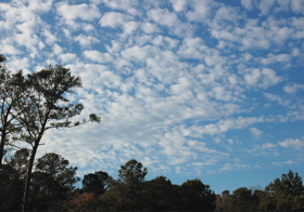 bluesky