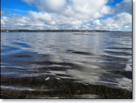 seeingunderwater280
