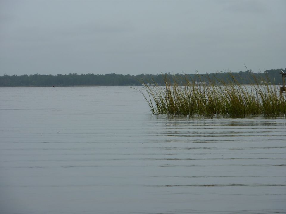 Grass at the Point