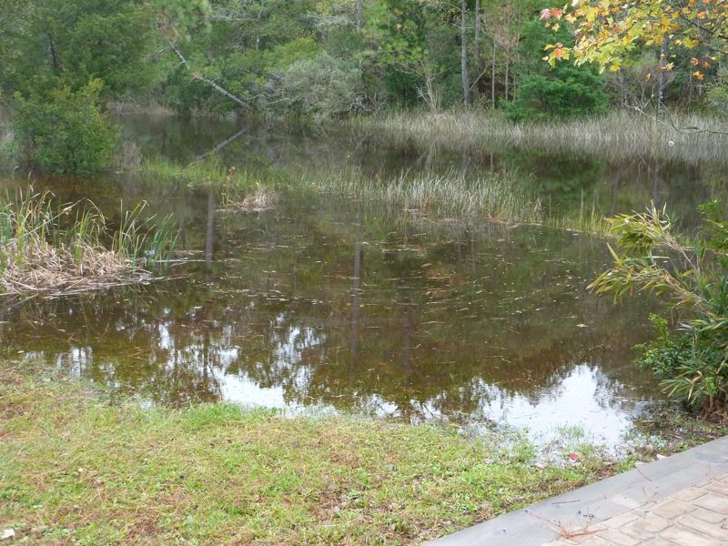 Water in the backyard