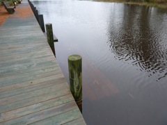 Damp Step