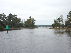 Lots of water