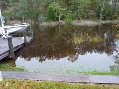 Almost over the dock