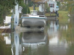 Bare Above Water