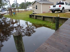Not much grass left