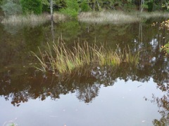 Under water launch point