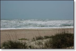 trickybeach