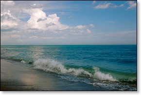 beachwave