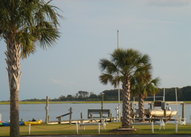 Palms,boats, and water