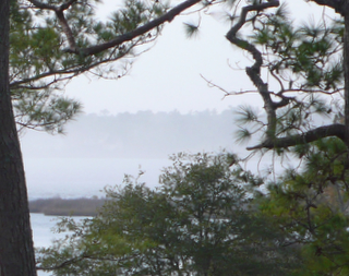 River Fog