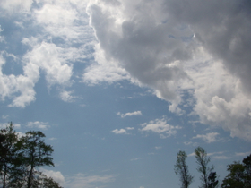Storm Brewing