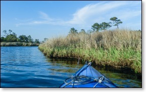 kayak
